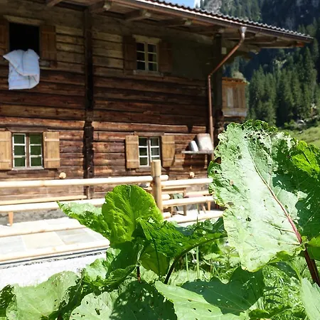 Lacknerbrunn Astl Alm Im Stilluptal *
