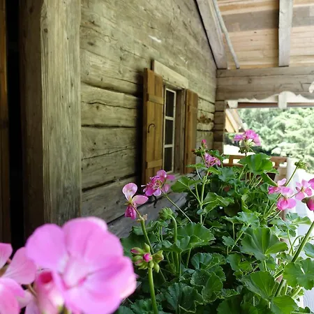 Lacknerbrunn Astl Alm Im Stilluptal Holiday home *
