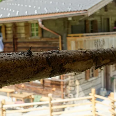 Lacknerbrunn Astl Alm Im Stilluptal Holiday home Mayrhofen