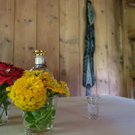 Lacknerbrunn Astl Alm Im Stilluptal Holiday home Mayrhofen