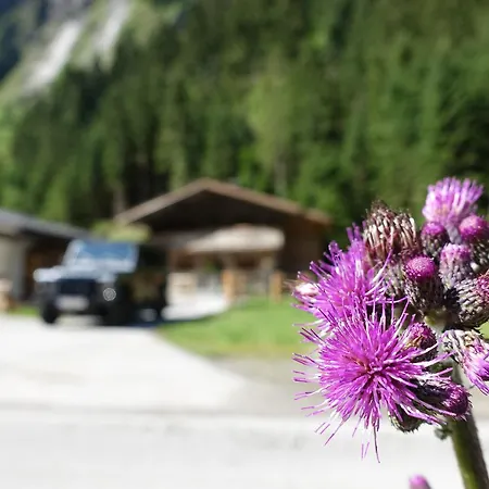 Lacknerbrunn Astl Alm Im Stilluptal *