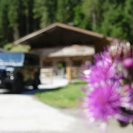 Holiday home Lacknerbrunn Astl Alm Im Stilluptal Mayrhofen